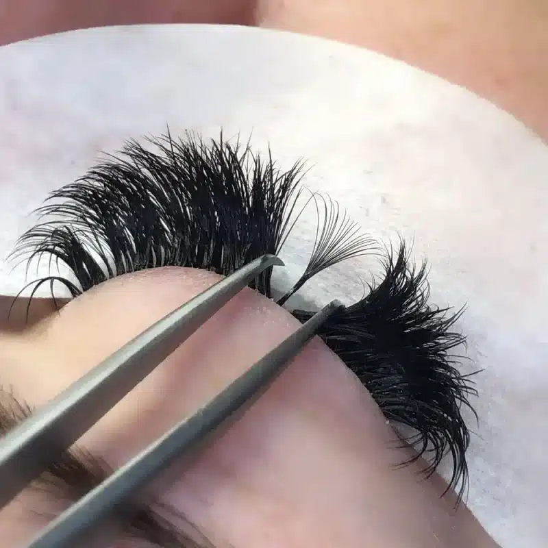 Volume Lash Extensions Fan